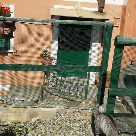 Maremonti * Vernazza