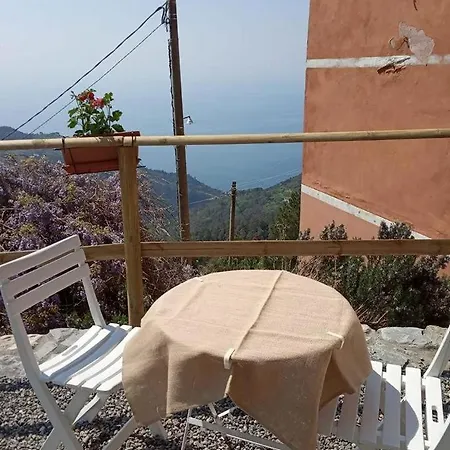 Maremonti