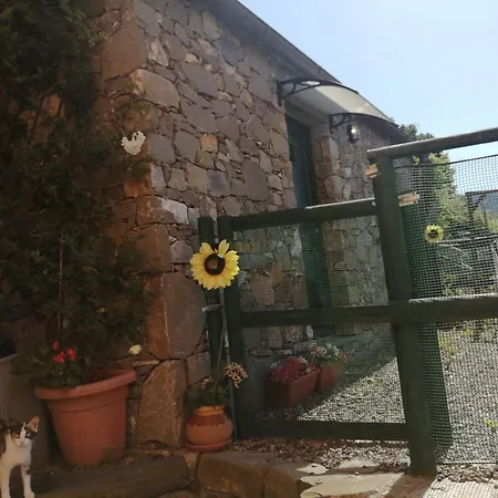 Maremonti ヴェルナッツァ